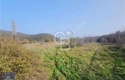 CB AMBIANCE'DEN KARACABEYDE SULU VE YOLU OLAN 7.618 m² TARLA