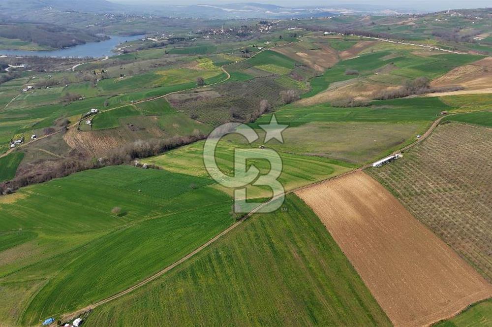 CB AKADEMİ BAĞLICA GÖL MANZARA YOL CEPHE SATILIK 35.426 m2 TARLA