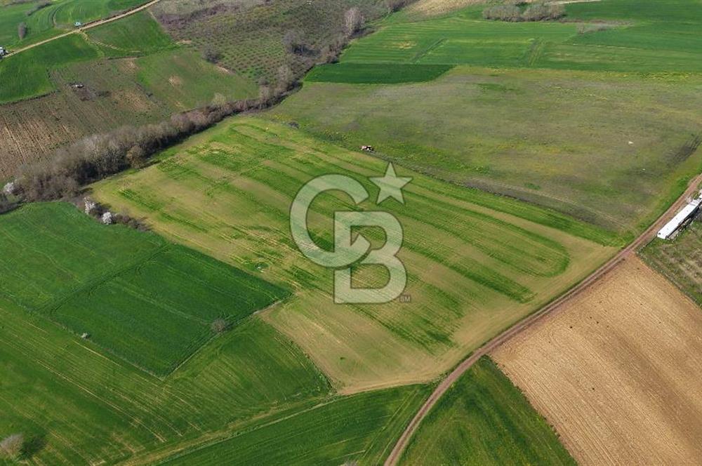 CB AKADEMİ BAĞLICA GÖL MANZARA YOL CEPHE SATILIK 35.426 m2 TARLA