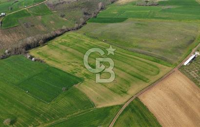 CB AKADEMİ BAĞLICA GÖL MANZARA YOL CEPHE SATILIK 35.426 m2 TARLA