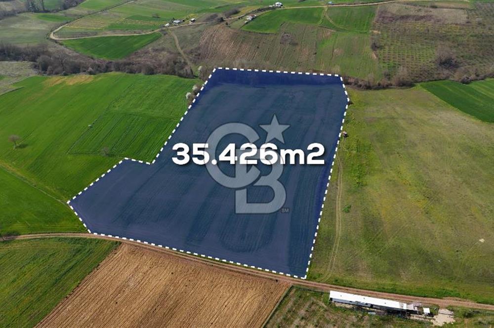 CB AKADEMİ BAĞLICA GÖL MANZARA YOL CEPHE SATILIK 35.426 m2 TARLA