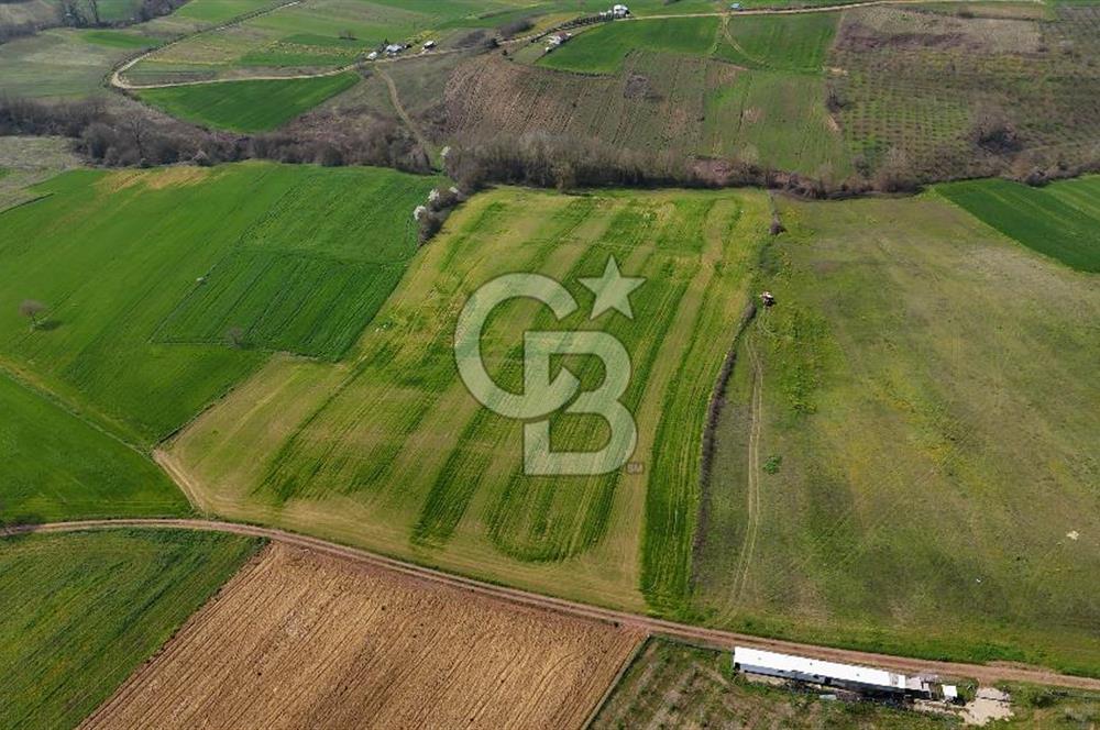 CB AKADEMİ BAĞLICA GÖL MANZARA YOL CEPHE SATILIK 35.426 m2 TARLA