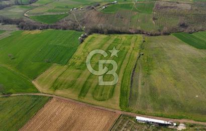 CB AKADEMİ BAĞLICA GÖL MANZARA YOL CEPHE SATILIK 35.426 m2 TARLA