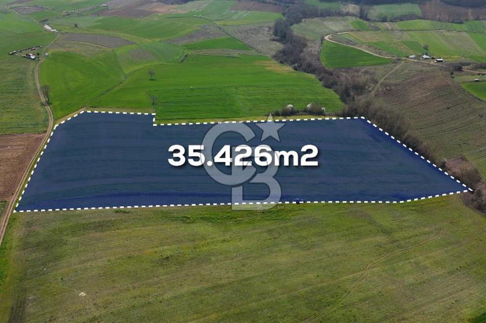 CB AKADEMİ BAĞLICA GÖL MANZARA YOL CEPHE SATILIK 35.426 m2 TARLA