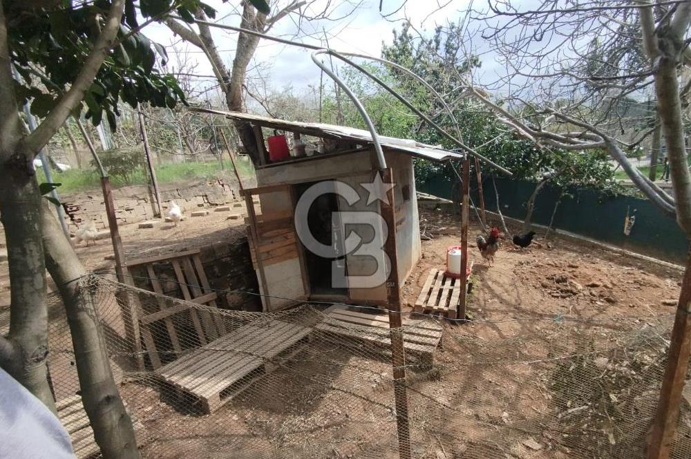 SATILIK BEYKOZDA ELMALI KÖYÜNDE MÜSTAKİL BAHÇELİ EV