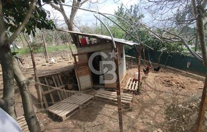 SATILIK BEYKOZDA ELMALI KÖYÜNDE MÜSTAKİL BAHÇELİ EV