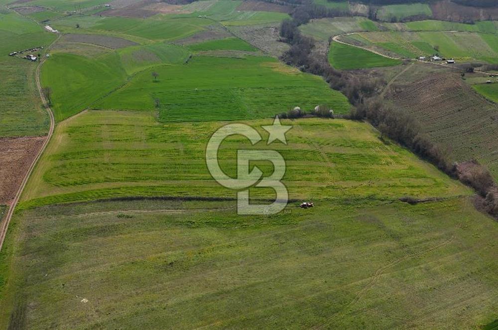 CB AKADEMİ BAĞLICA GÖL MANZARA YOL CEPHE SATILIK 35.426 m2 TARLA
