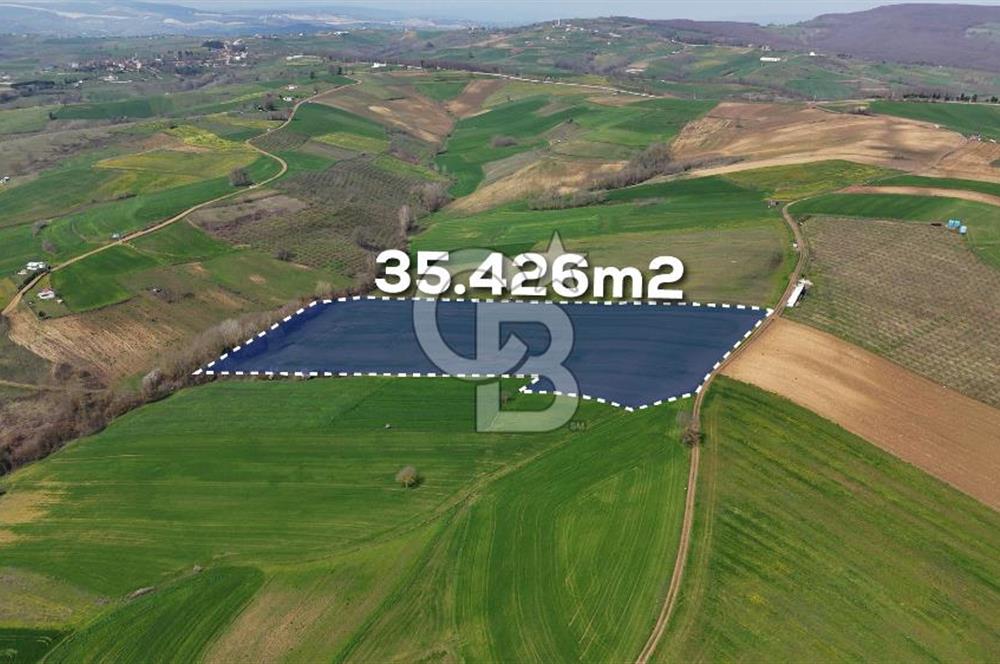 CB AKADEMİ BAĞLICA GÖL MANZARA YOL CEPHE SATILIK 35.426 m2 TARLA