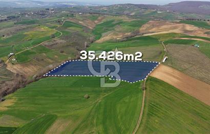 CB AKADEMİ BAĞLICA GÖL MANZARA YOL CEPHE SATILIK 35.426 m2 TARLA
