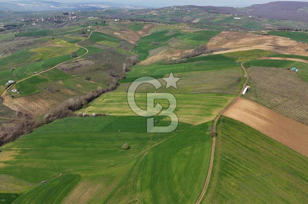 CB AKADEMİ BAĞLICA GÖL MANZARA YOL CEPHE SATILIK 35.426 m2 TARLA