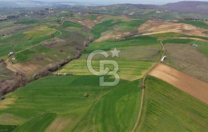 CB AKADEMİ BAĞLICA GÖL MANZARA YOL CEPHE SATILIK 35.426 m2 TARLA