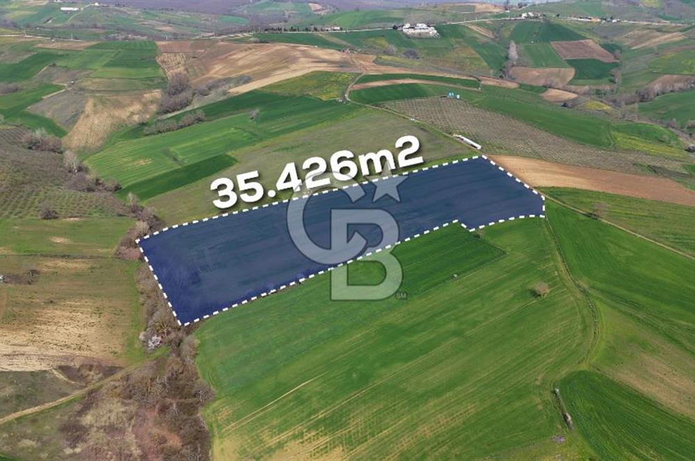 CB AKADEMİ BAĞLICA GÖL MANZARA YOL CEPHE SATILIK 35.426 m2 TARLA