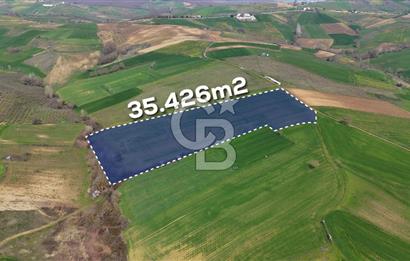 CB AKADEMİ BAĞLICA GÖL MANZARA YOL CEPHE SATILIK 35.426 m2 TARLA