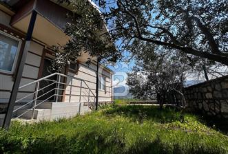 YİĞİTLER DE 3018 M2 İÇERİSİNDE 6+2 TEK KATLI OTOPARKLI MÜSTAKİL YAPI VE BAHÇESİ - 8 - 343288