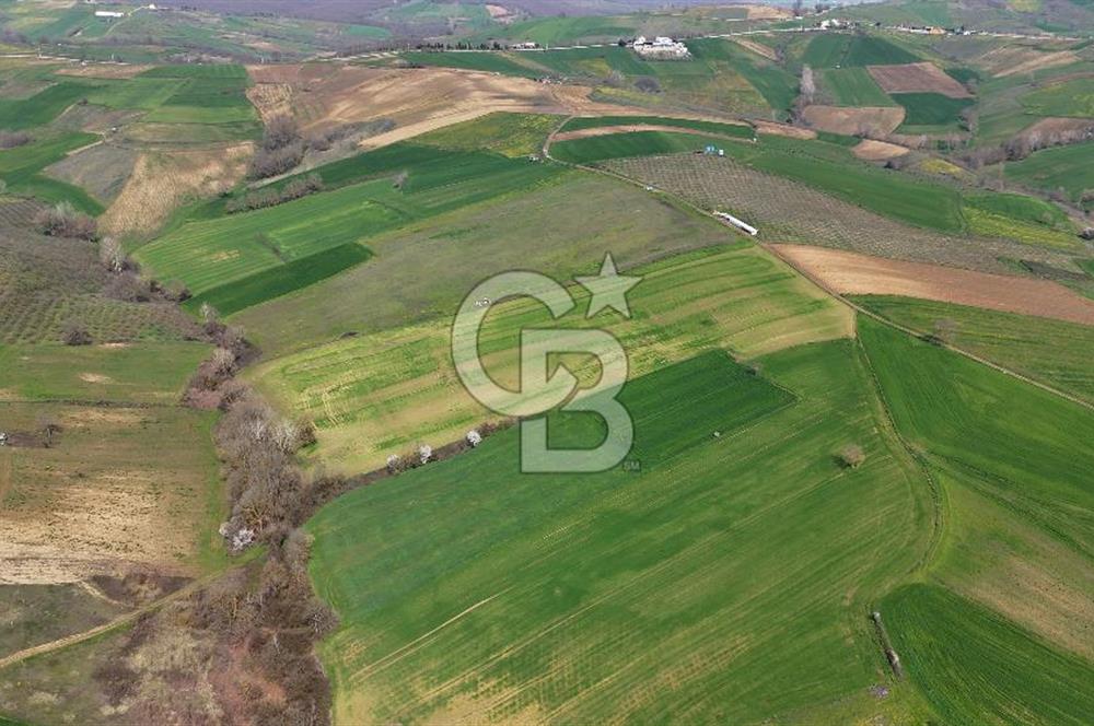 CB AKADEMİ BAĞLICA GÖL MANZARA YOL CEPHE SATILIK 35.426 m2 TARLA