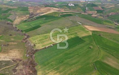 CB AKADEMİ BAĞLICA GÖL MANZARA YOL CEPHE SATILIK 35.426 m2 TARLA