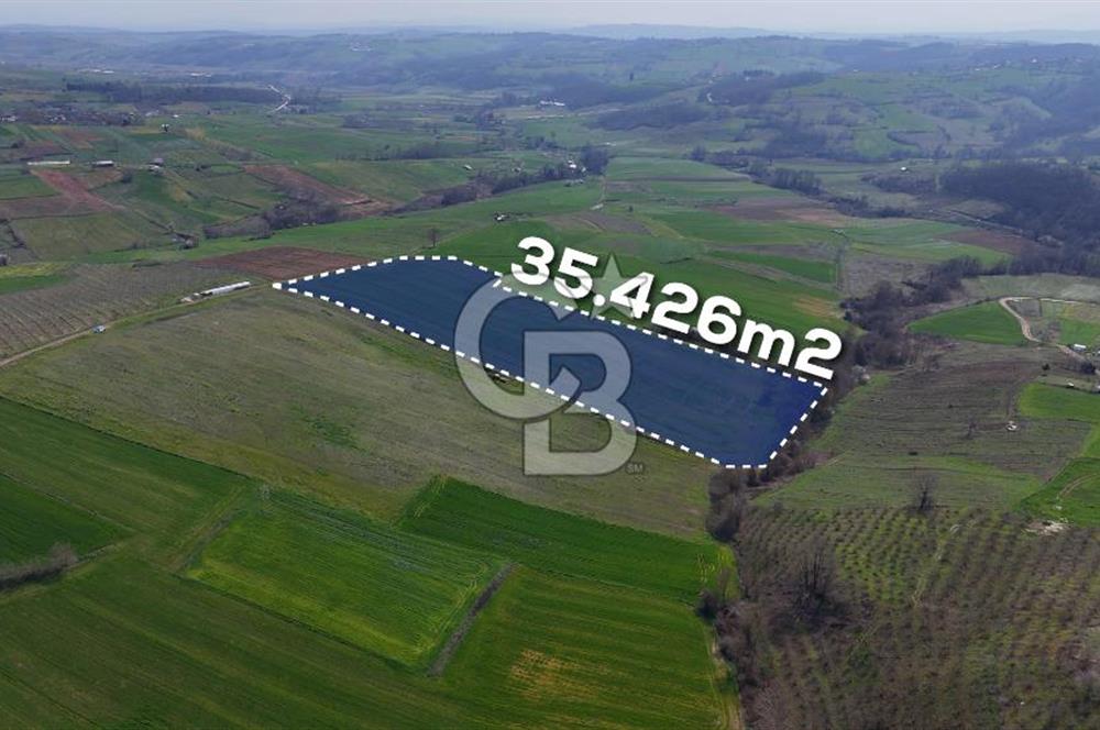 CB AKADEMİ BAĞLICA GÖL MANZARA YOL CEPHE SATILIK 35.426 m2 TARLA
