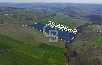 CB AKADEMİ BAĞLICA GÖL MANZARA YOL CEPHE SATILIK 35.426 m2 TARLA