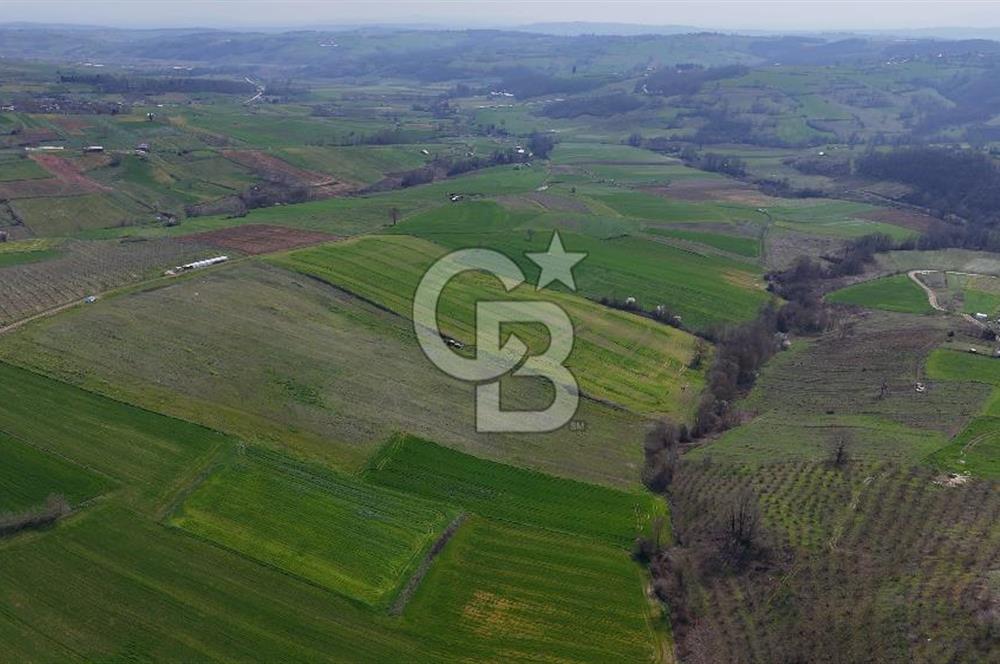 CB AKADEMİ BAĞLICA GÖL MANZARA YOL CEPHE SATILIK 35.426 m2 TARLA