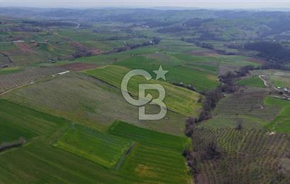 CB AKADEMİ BAĞLICA GÖL MANZARA YOL CEPHE SATILIK 35.426 m2 TARLA