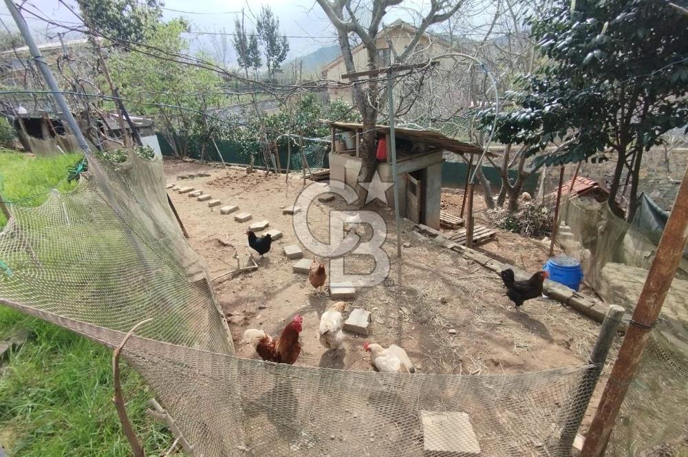 SATILIK BEYKOZDA ELMALI KÖYÜNDE MÜSTAKİL BAHÇELİ EV