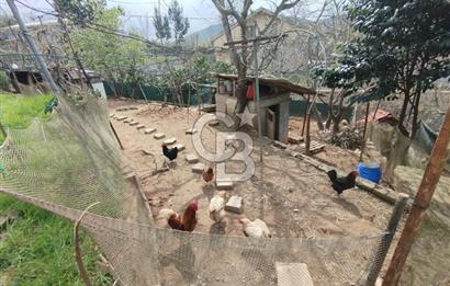 SATILIK BEYKOZDA ELMALI KÖYÜNDE MÜSTAKİL BAHÇELİ EV