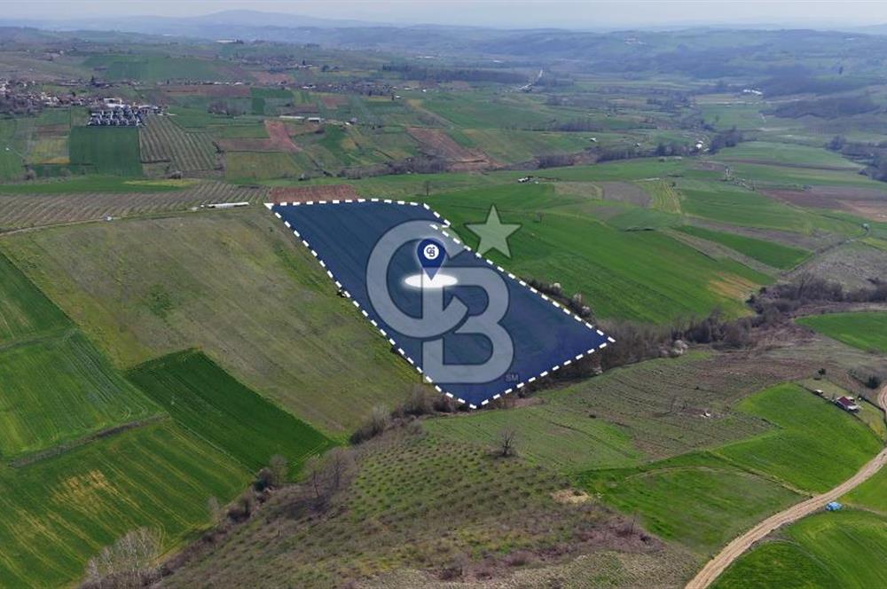 CB AKADEMİ BAĞLICA GÖL MANZARA YOL CEPHE SATILIK 35.426 m2 TARLA