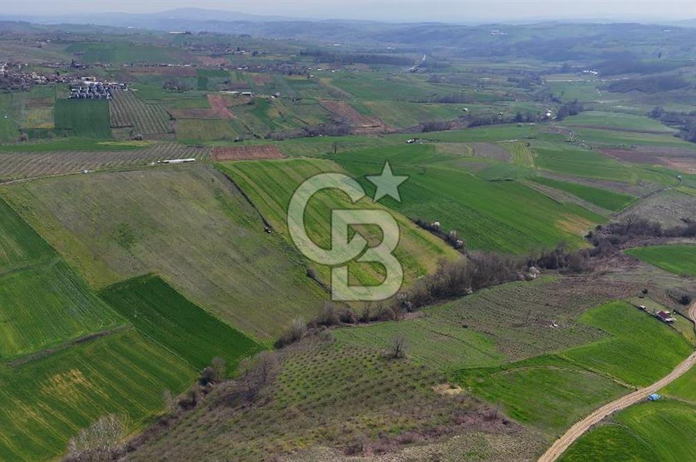 CB AKADEMİ BAĞLICA GÖL MANZARA YOL CEPHE SATILIK 35.426 m2 TARLA