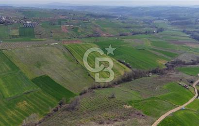 CB AKADEMİ BAĞLICA GÖL MANZARA YOL CEPHE SATILIK 35.426 m2 TARLA