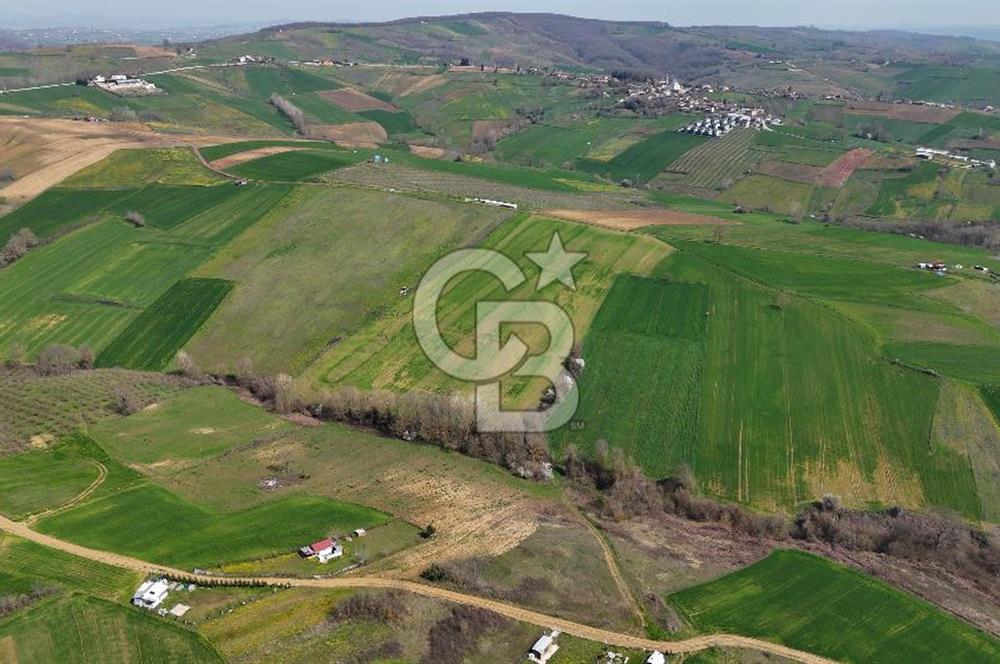 CB AKADEMİ BAĞLICA GÖL MANZARA YOL CEPHE SATILIK 35.426 m2 TARLA
