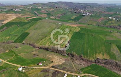 CB AKADEMİ BAĞLICA GÖL MANZARA YOL CEPHE SATILIK 35.426 m2 TARLA