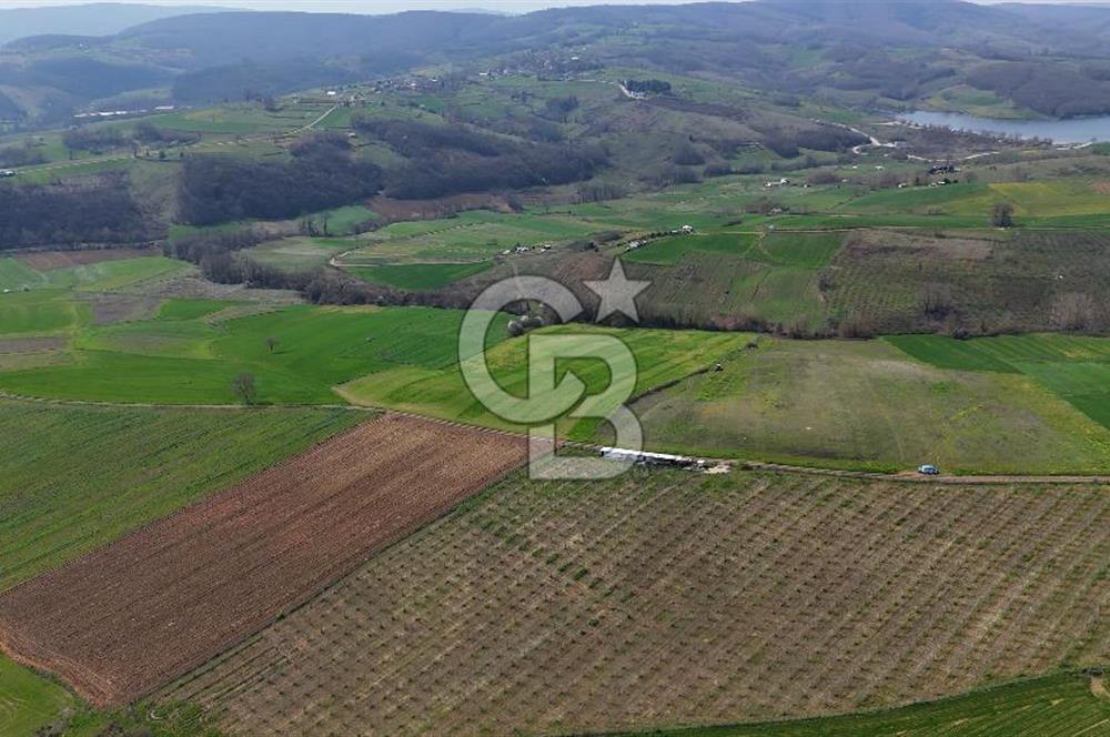CB AKADEMİ BAĞLICA GÖL MANZARA YOL CEPHE SATILIK 35.426 m2 TARLA