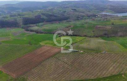 CB AKADEMİ BAĞLICA GÖL MANZARA YOL CEPHE SATILIK 35.426 m2 TARLA