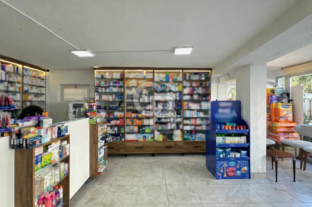 Ayvalık Ali Çetinkaya'da 45 m2 Kiralık İşyeri