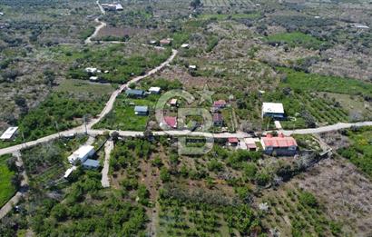 YİĞİTLER DE 3018 M2 İÇERİSİNDE 6+2 TEK KATLI OTOPARKLI MÜSTAKİL YAPI VE BAHÇESİ