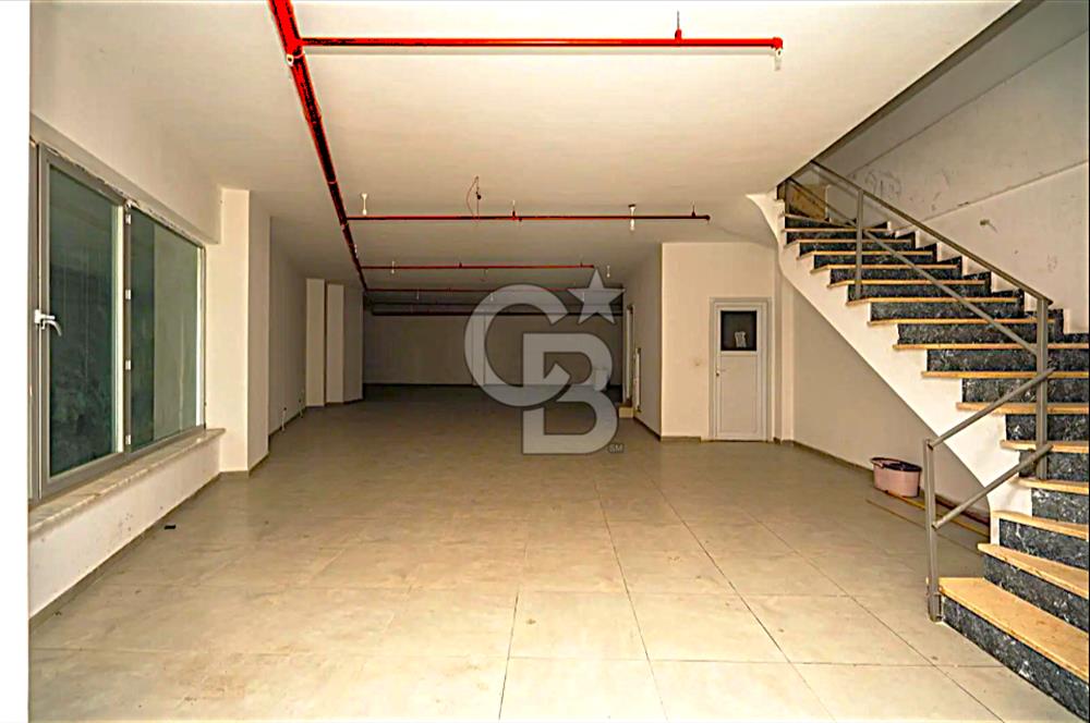 AVRUPA CAD. | 650 m² | 12 METRE CEPHE | PRESTİJLİ KİRALIK DÜKKAN