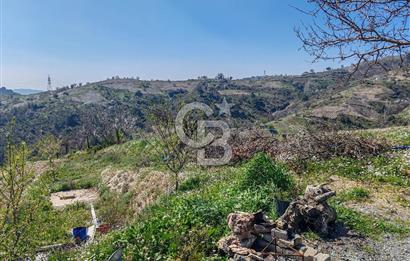 Güzelbahçe/ Kücükkaya ' da Hobi bahçesi/ Zeytinlik