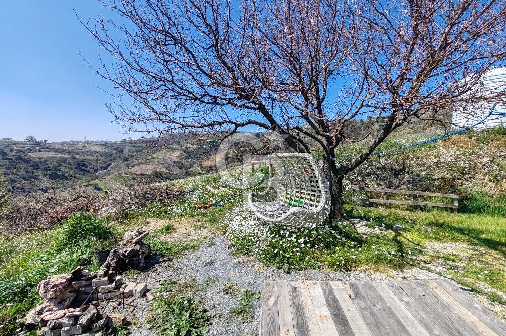 Güzelbahçe/ Kücükkaya ' da Hobi bahçesi/ Zeytinlik