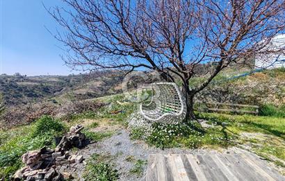 Güzelbahçe/ Kücükkaya ' da Hobi bahçesi/ Zeytinlik