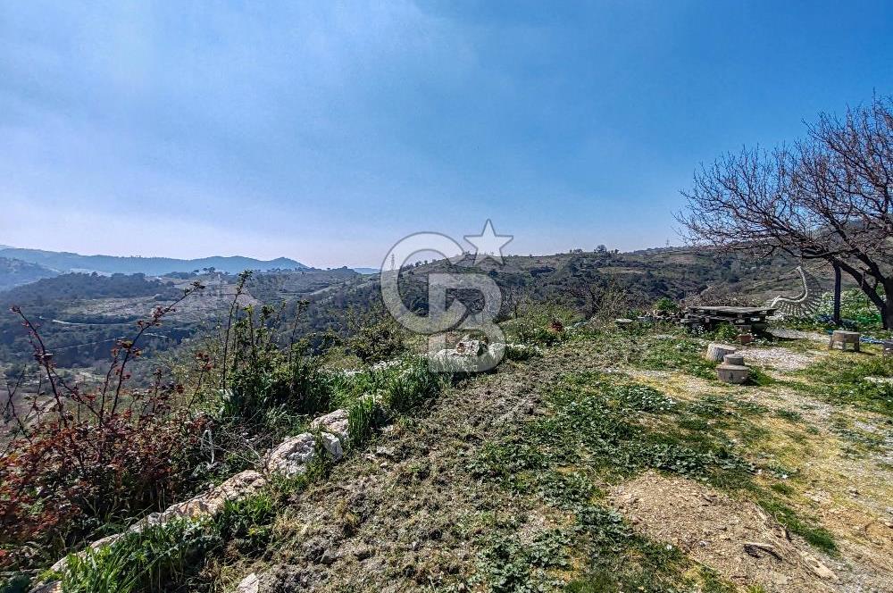 Güzelbahçe/ Kücükkaya ' da Hobi bahçesi/ Zeytinlik
