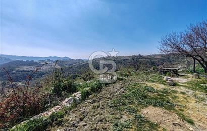 Güzelbahçe/ Kücükkaya ' da Hobi bahçesi/ Zeytinlik