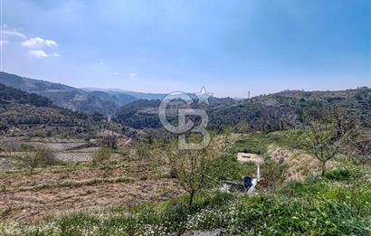 Güzelbahçe/ Kücükkaya ' da Hobi bahçesi/ Zeytinlik