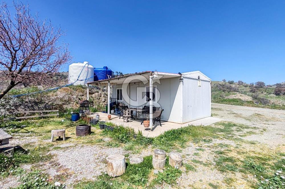 Güzelbahçe/ Kücükkaya ' da Hobi bahçesi/ Zeytinlik