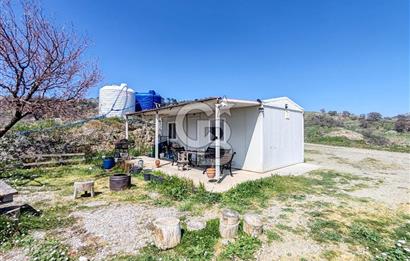 Güzelbahçe/ Kücükkaya ' da Hobi bahçesi/ Zeytinlik