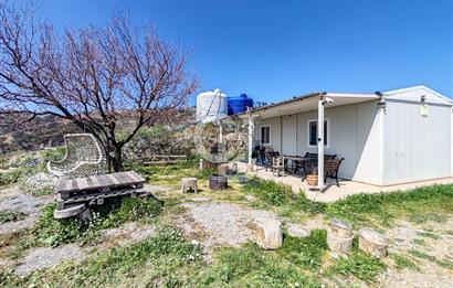 Güzelbahçe/ Kücükkaya ' da Hobi bahçesi/ Zeytinlik