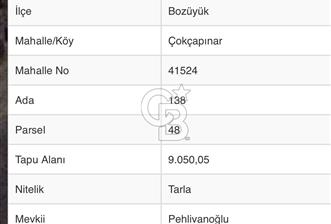 Bilecik Bozüyük Satılık Ana Yola Yakın 9 Dönüm Tarla - 10 - 333390