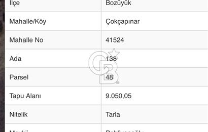 Bilecik Bozüyük Satılık Ana Yola Yakın 9 Dönüm Tarla