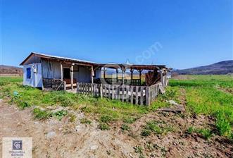 CB CLASS BURSA MUSTAFAKEMALPAŞA KESTELEK SATILIK TARLA - 4 - 343296