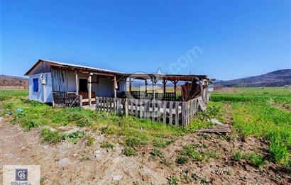 CB CLASS BURSA MUSTAFAKEMALPAŞA KESTELEK SATILIK TARLA