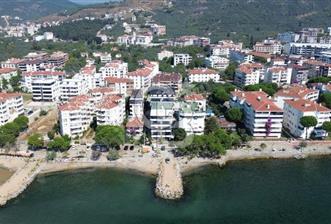 CB CLASS SATILIK YATIRIMLIK ZEYTİNLİK YALOVA ARMUTLU - 11 - 343307